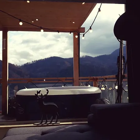 Vakantiehuis Ski House *