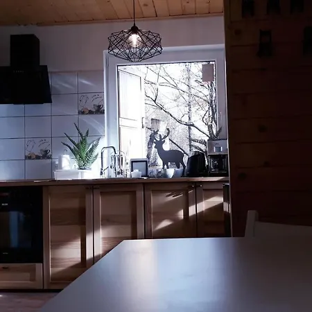 Vakantiehuis Ski House Szczyrk