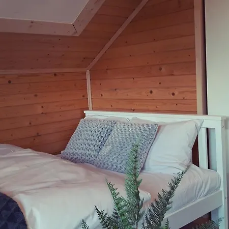 Vakantiehuis Ski House *