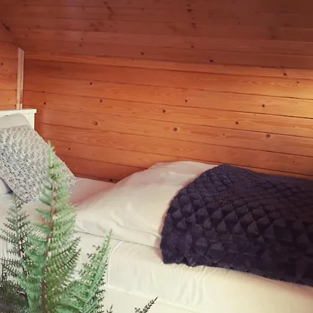 Vakantiehuis Ski House *